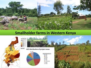 Seebauer Unique methods oct 2011