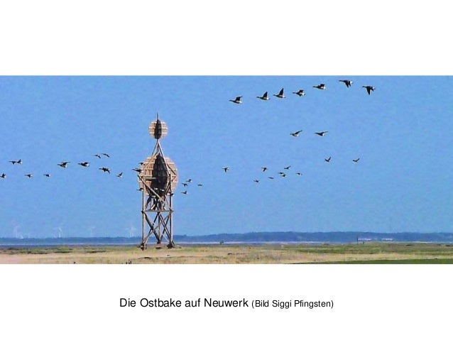 Pension Seeblick Mit Ferienwohnungen Nordsee Insel Neuwerk Vor Cuxh