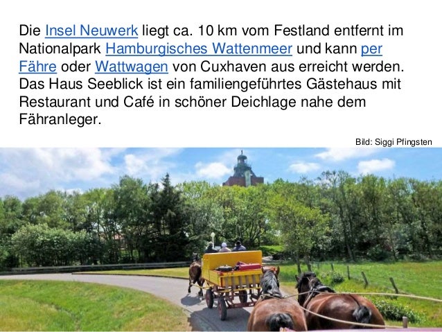 Pension Seeblick Mit Ferienwohnungen Nordsee Insel Neuwerk Vor Cuxh