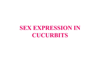 SEX EXPRESSION IN
CUCURBITS
 