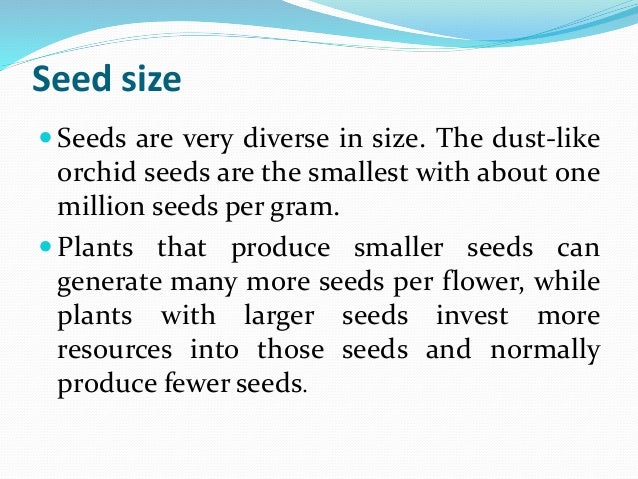 Seed