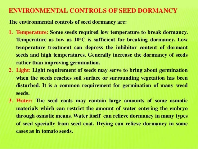 Seed Type And Characterstics Seed Type And Characterstics