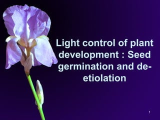 1
Light control of plant
development : Seed
germination and de-
etiolation
 