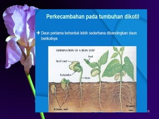 Iriawati, SITH - ITB 10
 