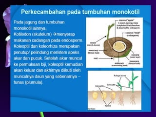 Iriawati, SITH - ITB 11
 
