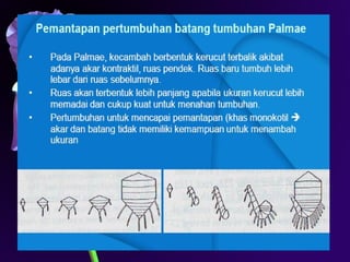 Iriawati, SITH - ITB 13
 