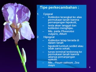 Iriawati, SITH - ITB 8
 