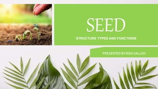 SEED
STRUCTURE TYPES AND FUNCTIONS
PRESENTED BY RIDA SALLEH
 