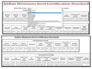 Seed Filing Form D.pdf seed-certification.pdf