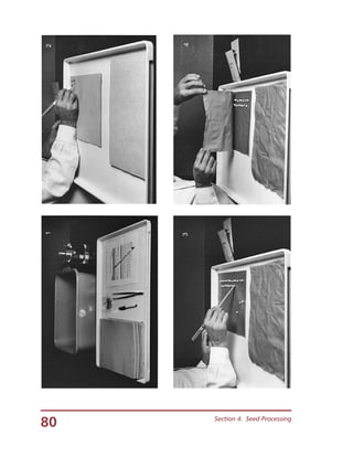 80 Section 4.  Seed Processing
12
34
 