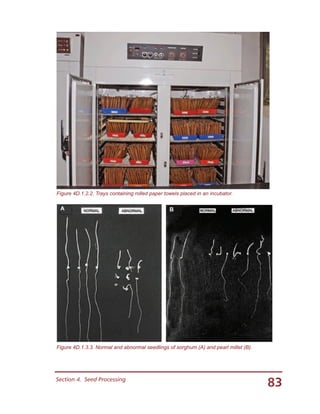 83Section 4.  Seed Processing
Figure 4D.1.2.2. Trays containing rolled paper towels placed in an incubator.
Figure 4D.1.3.3. Normal and abnormal seedlings of sorghum (A) and pearl millet (B).
A B
 