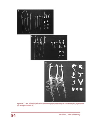 84 Section 4.  Seed Processing
A
B
C
Figure 4D.1.3.4. Normal (left) and abnormal (right) seedlings in chickpea (A), pigeonpea
(B) and groundnut (C).
 