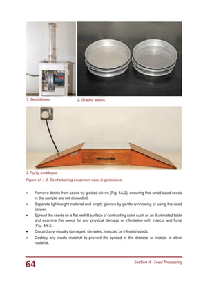 64 Section 4.  Seed Processing
1. Seed blower. 2. Graded sieves.
3. Purity workboard.
Figure 4A 1-3. Seed cleaning equipment used in genebanks.
•	 Remove debris from seeds by graded sieves (Fig. 4A.2), ensuring that small sized seeds
in the sample are not discarded.
•	 Separate lightweight material and empty glumes by gentle winnowing or using the seed
blower.
•	 Spread the seeds on a flat well-lit surface of contrasting color such as an illuminated table
and examine the seeds for any physical damage or infestation with insects and fungi
(Fig. 4A.3).
•	 Discard any visually damaged, shriveled, infected or infested seeds.
•	 Destroy any waste material to prevent the spread of the disease or insects to other
material.
 