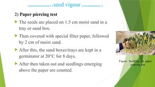 ……………..seed vigour …………..
2) Paper piercing test
 The seeds are placed on 1.5 cm moist sand in a
tray or sand box.
 Then covered with special filter paper, followed
by 2 cm of moist sand.
 After this, the sand boxes/trays are kept in a
germinator at 20°C for 8 days.
 After then taken out and seedlings emerging
above the paper are counted.
Figure: Seedlings at paper
piercing test
 