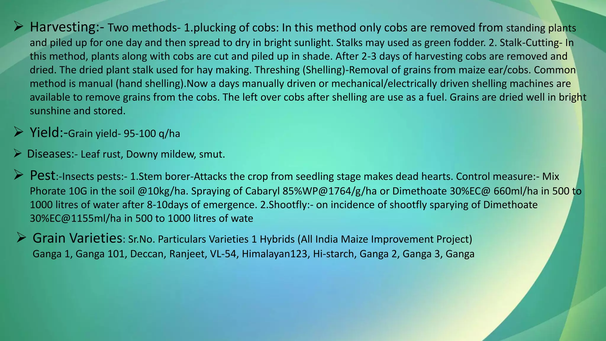 ➢ Harvesting:- Two methods- 1.plucking of cobs: In this method only cobs are removed from standing plants
and piled up for one day and then spread to dry in bright sunlight. Stalks may used as green fodder. 2. Stalk-Cutting- In
this method, plants along with cobs are cut and piled up in shade. After 2-3 days of harvesting cobs are removed and
dried. The dried plant stalk used for hay making. Threshing (Shelling)-Removal of grains from maize ear/cobs. Common
method is manual (hand shelling).Now a days manually driven or mechanical/electrically driven shelling machines are
available to remove grains from the cobs. The left over cobs after shelling are use as a fuel. Grains are dried well in bright
sunshine and stored.
➢ Yield:-Grain yield- 95-100 q/ha
➢ Diseases:- Leaf rust, Downy mildew, smut.
➢ Pest:-Insects pests:- 1.Stem borer-Attacks the crop from seedling stage makes dead hearts. Control measure:- Mix
Phorate 10G in the soil @10kg/ha. Spraying of Cabaryl 85%WP@1764/g/ha or Dimethoate 30%EC@ 660ml/ha in 500 to
1000 litres of water after 8-10days of emergence. 2.Shootfly:- on incidence of shootfly sparying of Dimethoate
30%EC@1155ml/ha in 500 to 1000 litres of wate
➢ Grain Varieties: Sr.No. Particulars Varieties 1 Hybrids (All India Maize Improvement Project)
Ganga 1, Ganga 101, Deccan, Ranjeet, VL-54, Himalayan123, Hi-starch, Ganga 2, Ganga 3, Ganga
 