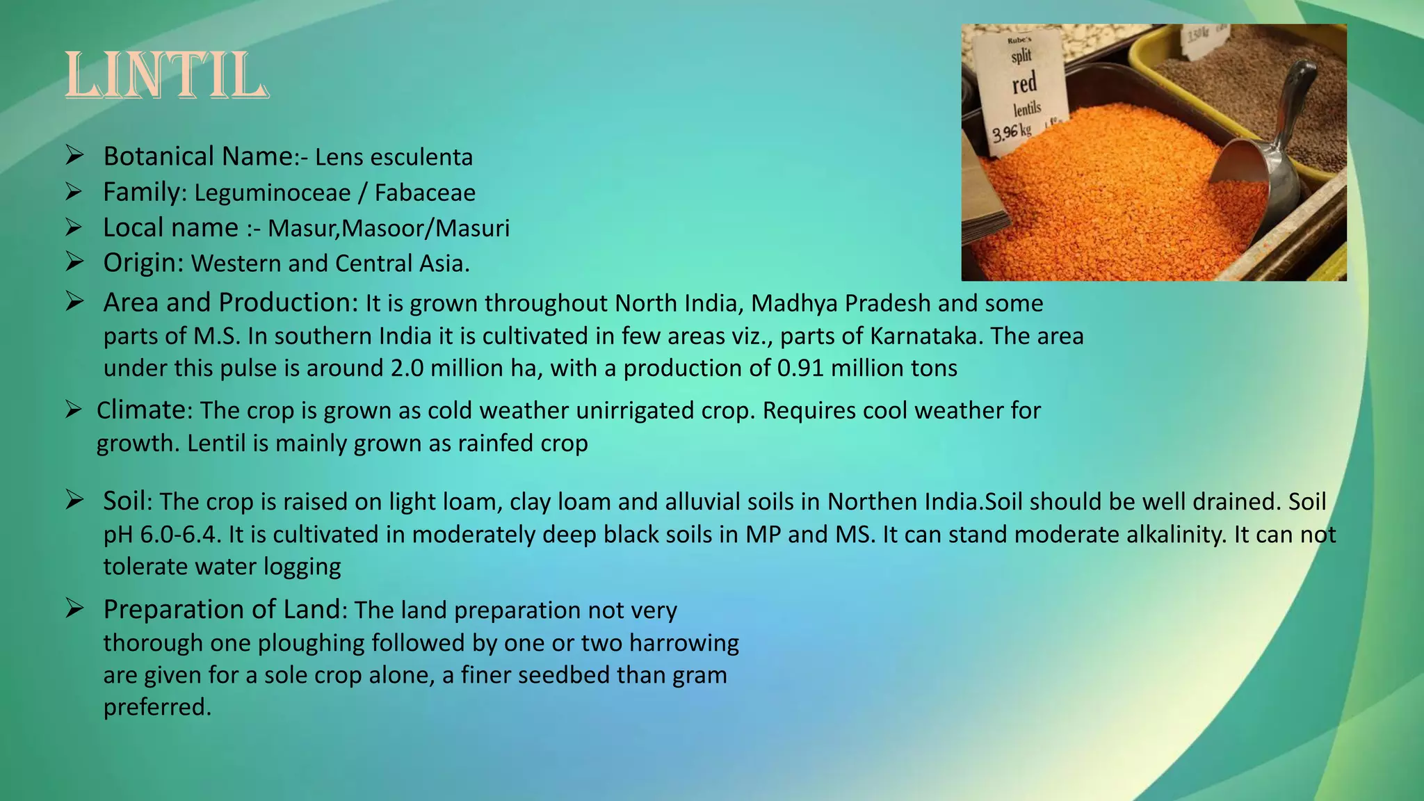 LINTIL
➢ Botanical Name:- Lens esculenta
➢ Family: Leguminoceae / Fabaceae
➢ Local name :- Masur,Masoor/Masuri
➢ Origin: Western and Central Asia.
➢ Area and Production: It is grown throughout North India, Madhya Pradesh and some
parts of M.S. In southern India it is cultivated in few areas viz., parts of Karnataka. The area
under this pulse is around 2.0 million ha, with a production of 0.91 million tons
➢ Climate: The crop is grown as cold weather unirrigated crop. Requires cool weather for
growth. Lentil is mainly grown as rainfed crop
➢ Soil: The crop is raised on light loam, clay loam and alluvial soils in Northen India.Soil should be well drained. Soil
pH 6.0-6.4. It is cultivated in moderately deep black soils in MP and MS. It can stand moderate alkalinity. It can not
tolerate water logging
➢ Preparation of Land: The land preparation not very
thorough one ploughing followed by one or two harrowing
are given for a sole crop alone, a finer seedbed than gram
preferred.
 