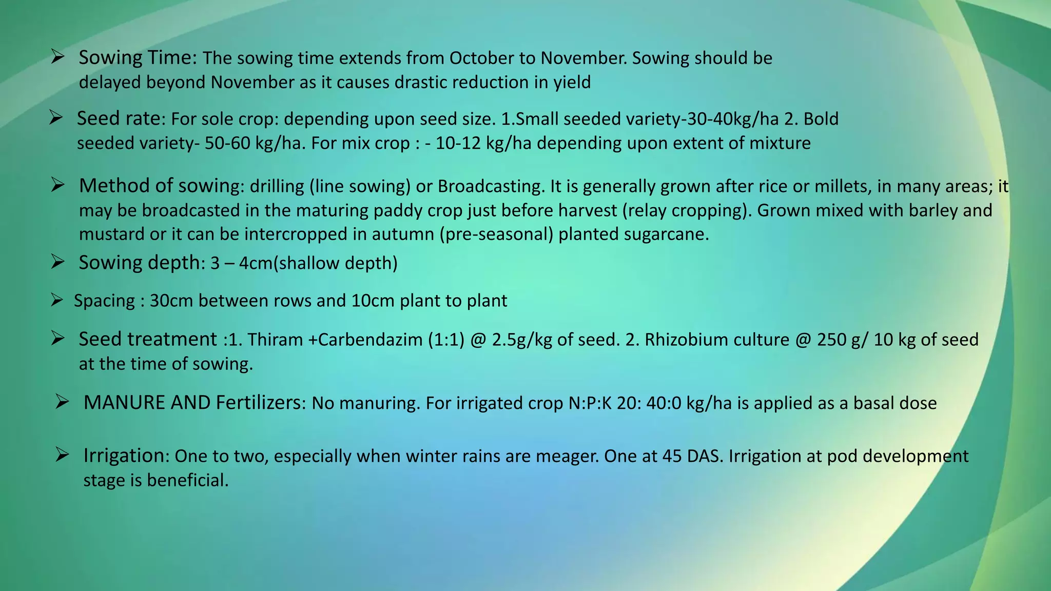 ➢ Sowing Time: The sowing time extends from October to November. Sowing should be
delayed beyond November as it causes drastic reduction in yield
➢ Seed rate: For sole crop: depending upon seed size. 1.Small seeded variety-30-40kg/ha 2. Bold
seeded variety- 50-60 kg/ha. For mix crop : - 10-12 kg/ha depending upon extent of mixture
➢ Method of sowing: drilling (line sowing) or Broadcasting. It is generally grown after rice or millets, in many areas; it
may be broadcasted in the maturing paddy crop just before harvest (relay cropping). Grown mixed with barley and
mustard or it can be intercropped in autumn (pre-seasonal) planted sugarcane.
➢ Spacing : 30cm between rows and 10cm plant to plant
➢ Sowing depth: 3 – 4cm(shallow depth)
➢ Seed treatment :1. Thiram +Carbendazim (1:1) @ 2.5g/kg of seed. 2. Rhizobium culture @ 250 g/ 10 kg of seed
at the time of sowing.
➢ MANURE AND Fertilizers: No manuring. For irrigated crop N:P:K 20: 40:0 kg/ha is applied as a basal dose
➢ Irrigation: One to two, especially when winter rains are meager. One at 45 DAS. Irrigation at pod development
stage is beneficial.
 