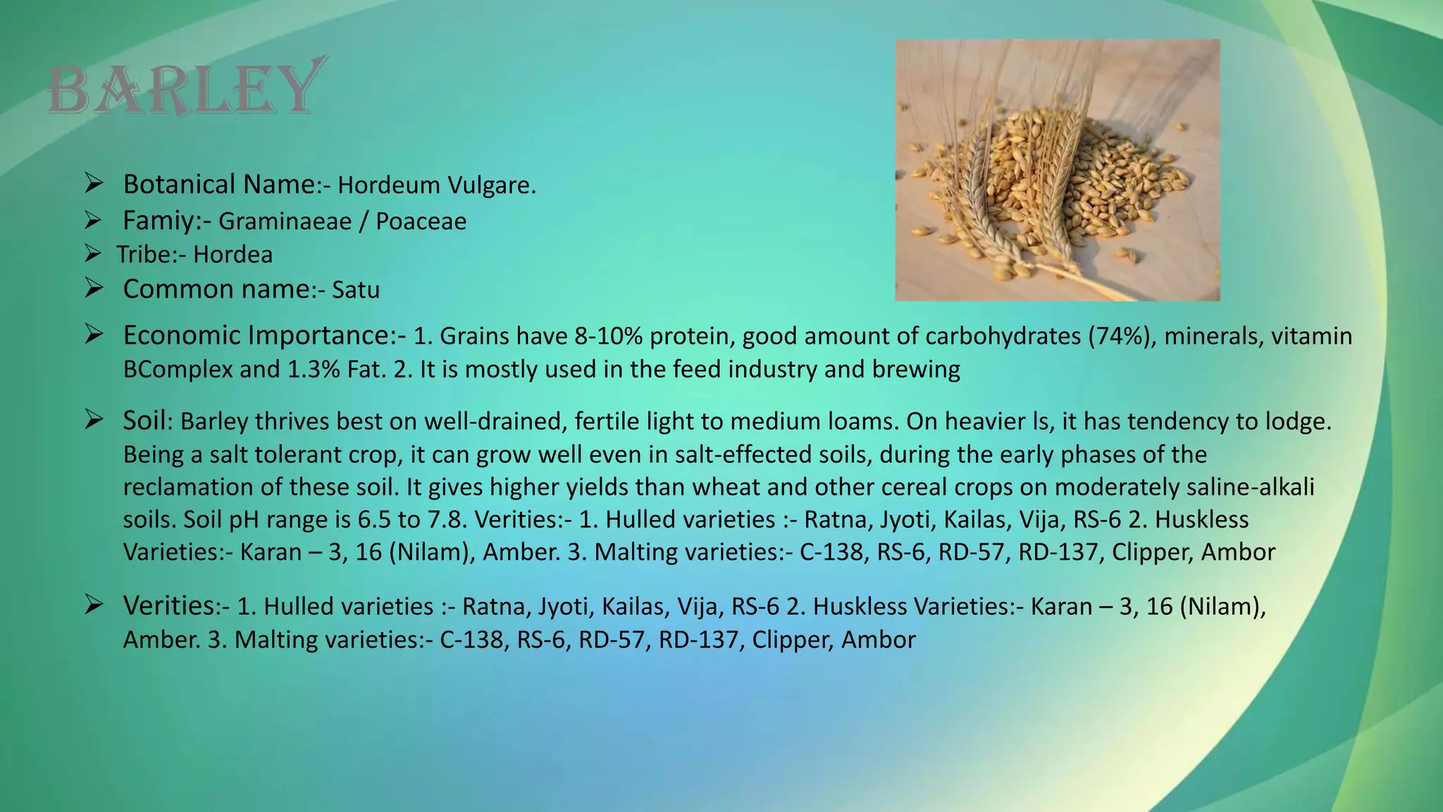 BARLEY
➢ Botanical Name:- Hordeum Vulgare.
➢ Famiy:- Graminaeae / Poaceae
➢ Tribe:- Hordea
➢ Common name:- Satu
➢ Economic Importance:- 1. Grains have 8-10% protein, good amount of carbohydrates (74%), minerals, vitamin
BComplex and 1.3% Fat. 2. It is mostly used in the feed industry and brewing
➢ Soil: Barley thrives best on well-drained, fertile light to medium loams. On heavier ls, it has tendency to lodge.
Being a salt tolerant crop, it can grow well even in salt-effected soils, during the early phases of the
reclamation of these soil. It gives higher yields than wheat and other cereal crops on moderately saline-alkali
soils. Soil pH range is 6.5 to 7.8. Verities:- 1. Hulled varieties :- Ratna, Jyoti, Kailas, Vija, RS-6 2. Huskless
Varieties:- Karan – 3, 16 (Nilam), Amber. 3. Malting varieties:- C-138, RS-6, RD-57, RD-137, Clipper, Ambor
➢ Verities:- 1. Hulled varieties :- Ratna, Jyoti, Kailas, Vija, RS-6 2. Huskless Varieties:- Karan – 3, 16 (Nilam),
Amber. 3. Malting varieties:- C-138, RS-6, RD-57, RD-137, Clipper, Ambor
 