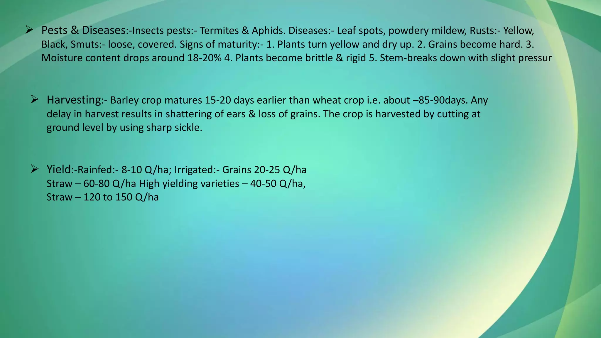 ➢ Pests & Diseases:-Insects pests:- Termites & Aphids. Diseases:- Leaf spots, powdery mildew, Rusts:- Yellow,
Black, Smuts:- loose, covered. Signs of maturity:- 1. Plants turn yellow and dry up. 2. Grains become hard. 3.
Moisture content drops around 18-20% 4. Plants become brittle & rigid 5. Stem-breaks down with slight pressur
➢ Harvesting:- Barley crop matures 15-20 days earlier than wheat crop i.e. about –85-90days. Any
delay in harvest results in shattering of ears & loss of grains. The crop is harvested by cutting at
ground level by using sharp sickle.
➢ Yield:-Rainfed:- 8-10 Q/ha; Irrigated:- Grains 20-25 Q/ha
Straw – 60-80 Q/ha High yielding varieties – 40-50 Q/ha,
Straw – 120 to 150 Q/ha
 