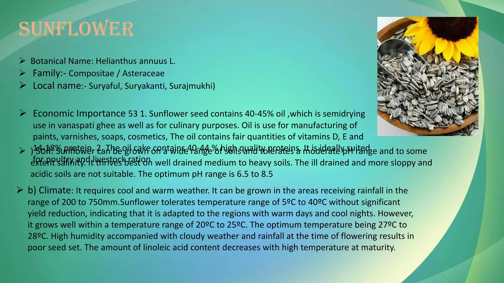 SUNFLOWER
➢ Botanical Name: Helianthus annuus L.
➢ Family:- Compositae / Asteraceae
➢ Local name:- Suryaful, Suryakanti, Surajmukhi)
➢ Economic Importance 53 1. Sunflower seed contains 40-45% oil ,which is semidrying
use in vanaspati ghee as well as for culinary purposes. Oil is use for manufacturing of
paints, varnishes, soaps, cosmetics, The oil contains fair quantities of vitamins D, E and
14-18% protein. 2. The oil cake contains 40-44 % high quality proteins. It is ideally suited
for poultry and livestock ration
➢ ) Soil: Sunflower can be grown on a wide range of soils and tolerates a moderate pH range and to some
extent salinity. It thrives best on well drained medium to heavy soils. The ill drained and more sloppy and
acidic soils are not suitable. The optimum pH range is 6.5 to 8.5
➢ b) Climate: It requires cool and warm weather. It can be grown in the areas receiving rainfall in the
range of 200 to 750mm.Sunflower tolerates temperature range of 5ºC to 40ºC without significant
yield reduction, indicating that it is adapted to the regions with warm days and cool nights. However,
it grows well within a temperature range of 20ºC to 25ºC. The optimum temperature being 27ºC to
28ºC. High humidity accompanied with cloudy weather and rainfall at the time of flowering results in
poor seed set. The amount of linoleic acid content decreases with high temperature at maturity.
 