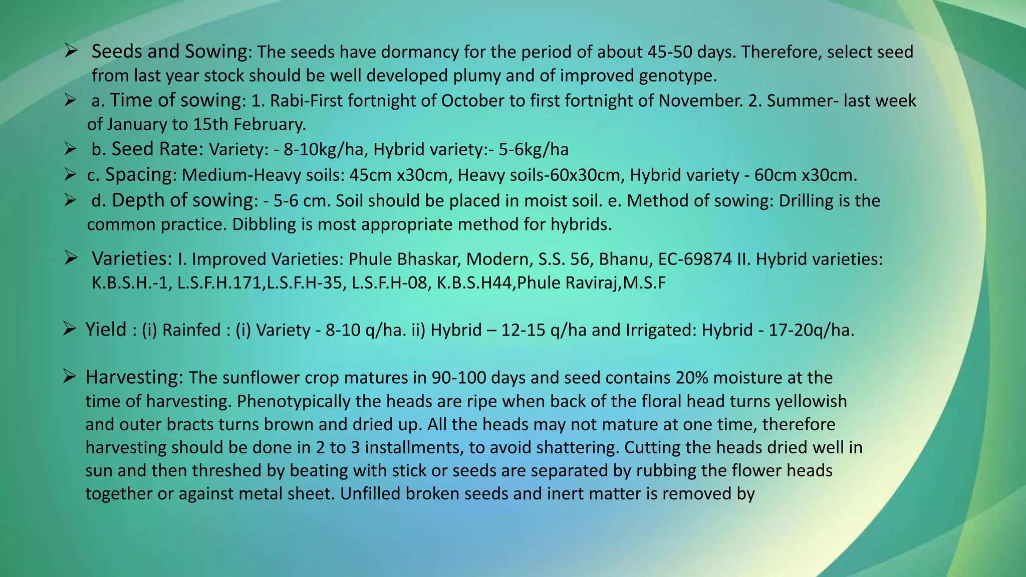 ➢ Seeds and Sowing: The seeds have dormancy for the period of about 45-50 days. Therefore, select seed
from last year stock should be well developed plumy and of improved genotype.
➢ a. Time of sowing: 1. Rabi-First fortnight of October to first fortnight of November. 2. Summer- last week
of January to 15th February.
➢ b. Seed Rate: Variety: - 8-10kg/ha, Hybrid variety:- 5-6kg/ha
➢ c. Spacing: Medium-Heavy soils: 45cm x30cm, Heavy soils-60x30cm, Hybrid variety - 60cm x30cm.
➢ d. Depth of sowing: - 5-6 cm. Soil should be placed in moist soil. e. Method of sowing: Drilling is the
common practice. Dibbling is most appropriate method for hybrids.
➢ Varieties: I. Improved Varieties: Phule Bhaskar, Modern, S.S. 56, Bhanu, EC-69874 II. Hybrid varieties:
K.B.S.H.-1, L.S.F.H.171,L.S.F.H-35, L.S.F.H-08, K.B.S.H44,Phule Raviraj,M.S.F
➢ Yield : (i) Rainfed : (i) Variety - 8-10 q/ha. ii) Hybrid – 12-15 q/ha and Irrigated: Hybrid - 17-20q/ha.
➢ Harvesting: The sunflower crop matures in 90-100 days and seed contains 20% moisture at the
time of harvesting. Phenotypically the heads are ripe when back of the floral head turns yellowish
and outer bracts turns brown and dried up. All the heads may not mature at one time, therefore
harvesting should be done in 2 to 3 installments, to avoid shattering. Cutting the heads dried well in
sun and then threshed by beating with stick or seeds are separated by rubbing the flower heads
together or against metal sheet. Unfilled broken seeds and inert matter is removed by
 