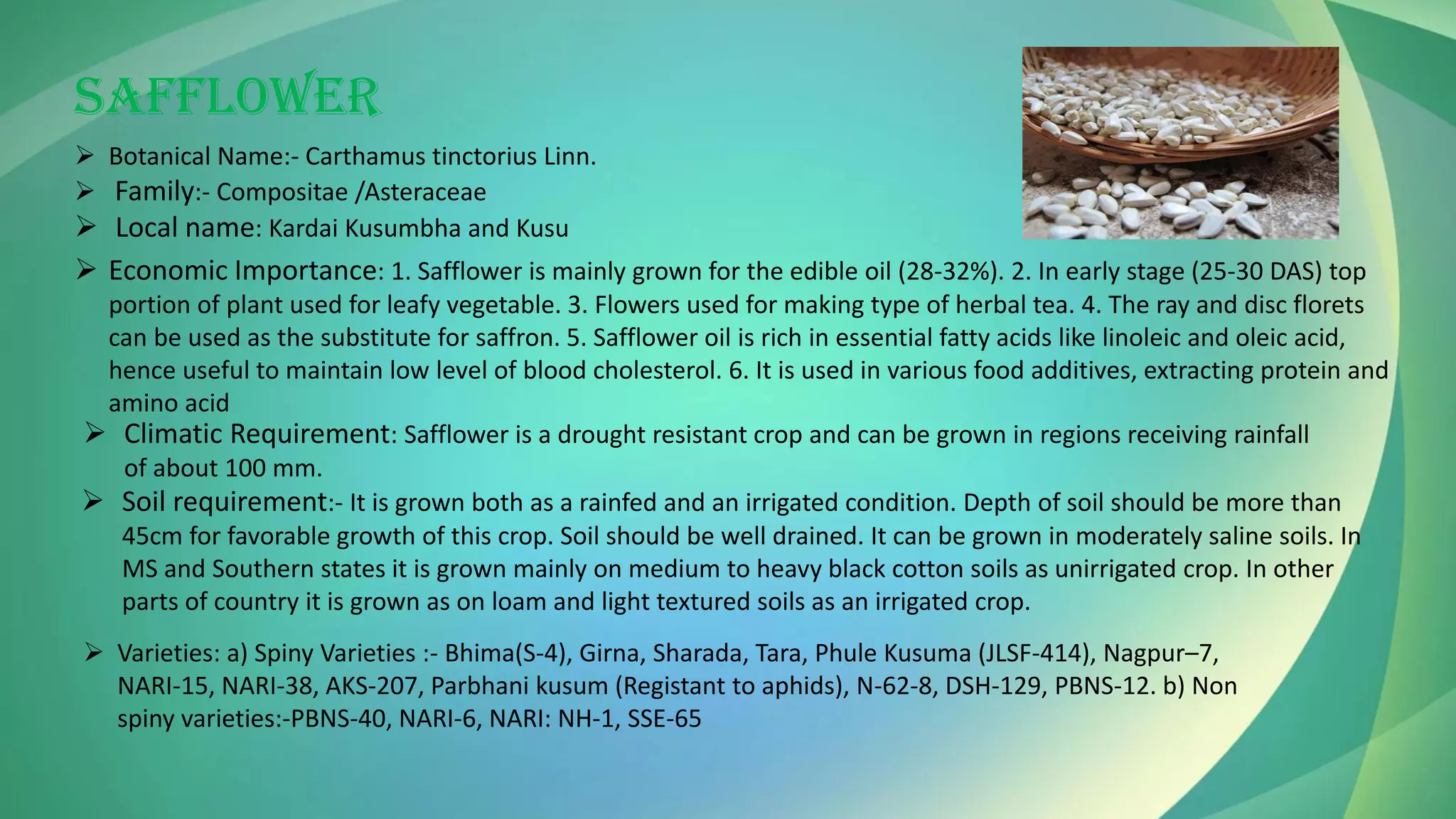SAFFLOWER
➢ Botanical Name:- Carthamus tinctorius Linn.
➢ Family:- Compositae /Asteraceae
➢ Local name: Kardai Kusumbha and Kusu
➢ Economic Importance: 1. Safflower is mainly grown for the edible oil (28-32%). 2. In early stage (25-30 DAS) top
portion of plant used for leafy vegetable. 3. Flowers used for making type of herbal tea. 4. The ray and disc florets
can be used as the substitute for saffron. 5. Safflower oil is rich in essential fatty acids like linoleic and oleic acid,
hence useful to maintain low level of blood cholesterol. 6. It is used in various food additives, extracting protein and
amino acid
➢ Climatic Requirement: Safflower is a drought resistant crop and can be grown in regions receiving rainfall
of about 100 mm.
➢ Soil requirement:- It is grown both as a rainfed and an irrigated condition. Depth of soil should be more than
45cm for favorable growth of this crop. Soil should be well drained. It can be grown in moderately saline soils. In
MS and Southern states it is grown mainly on medium to heavy black cotton soils as unirrigated crop. In other
parts of country it is grown as on loam and light textured soils as an irrigated crop.
➢ Varieties: a) Spiny Varieties :- Bhima(S-4), Girna, Sharada, Tara, Phule Kusuma (JLSF-414), Nagpur–7,
NARI-15, NARI-38, AKS-207, Parbhani kusum (Registant to aphids), N-62-8, DSH-129, PBNS-12. b) Non
spiny varieties:-PBNS-40, NARI-6, NARI: NH-1, SSE-65
 