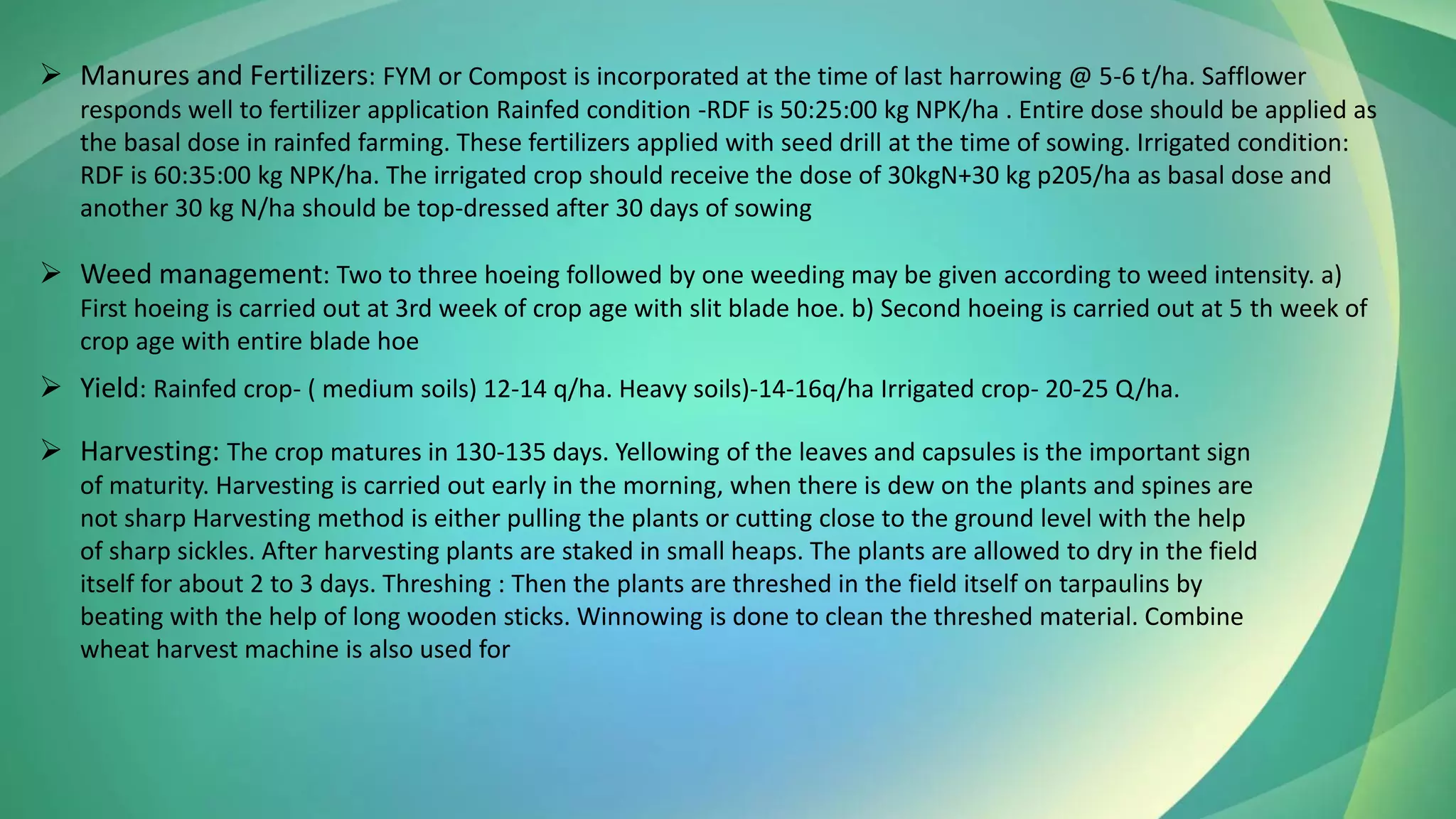 ➢ Manures and Fertilizers: FYM or Compost is incorporated at the time of last harrowing @ 5-6 t/ha. Safflower
responds well to fertilizer application Rainfed condition -RDF is 50:25:00 kg NPK/ha . Entire dose should be applied as
the basal dose in rainfed farming. These fertilizers applied with seed drill at the time of sowing. Irrigated condition:
RDF is 60:35:00 kg NPK/ha. The irrigated crop should receive the dose of 30kgN+30 kg p205/ha as basal dose and
another 30 kg N/ha should be top-dressed after 30 days of sowing
➢ Weed management: Two to three hoeing followed by one weeding may be given according to weed intensity. a)
First hoeing is carried out at 3rd week of crop age with slit blade hoe. b) Second hoeing is carried out at 5 th week of
crop age with entire blade hoe
➢ Yield: Rainfed crop- ( medium soils) 12-14 q/ha. Heavy soils)-14-16q/ha Irrigated crop- 20-25 Q/ha.
➢ Harvesting: The crop matures in 130-135 days. Yellowing of the leaves and capsules is the important sign
of maturity. Harvesting is carried out early in the morning, when there is dew on the plants and spines are
not sharp Harvesting method is either pulling the plants or cutting close to the ground level with the help
of sharp sickles. After harvesting plants are staked in small heaps. The plants are allowed to dry in the field
itself for about 2 to 3 days. Threshing : Then the plants are threshed in the field itself on tarpaulins by
beating with the help of long wooden sticks. Winnowing is done to clean the threshed material. Combine
wheat harvest machine is also used for
 