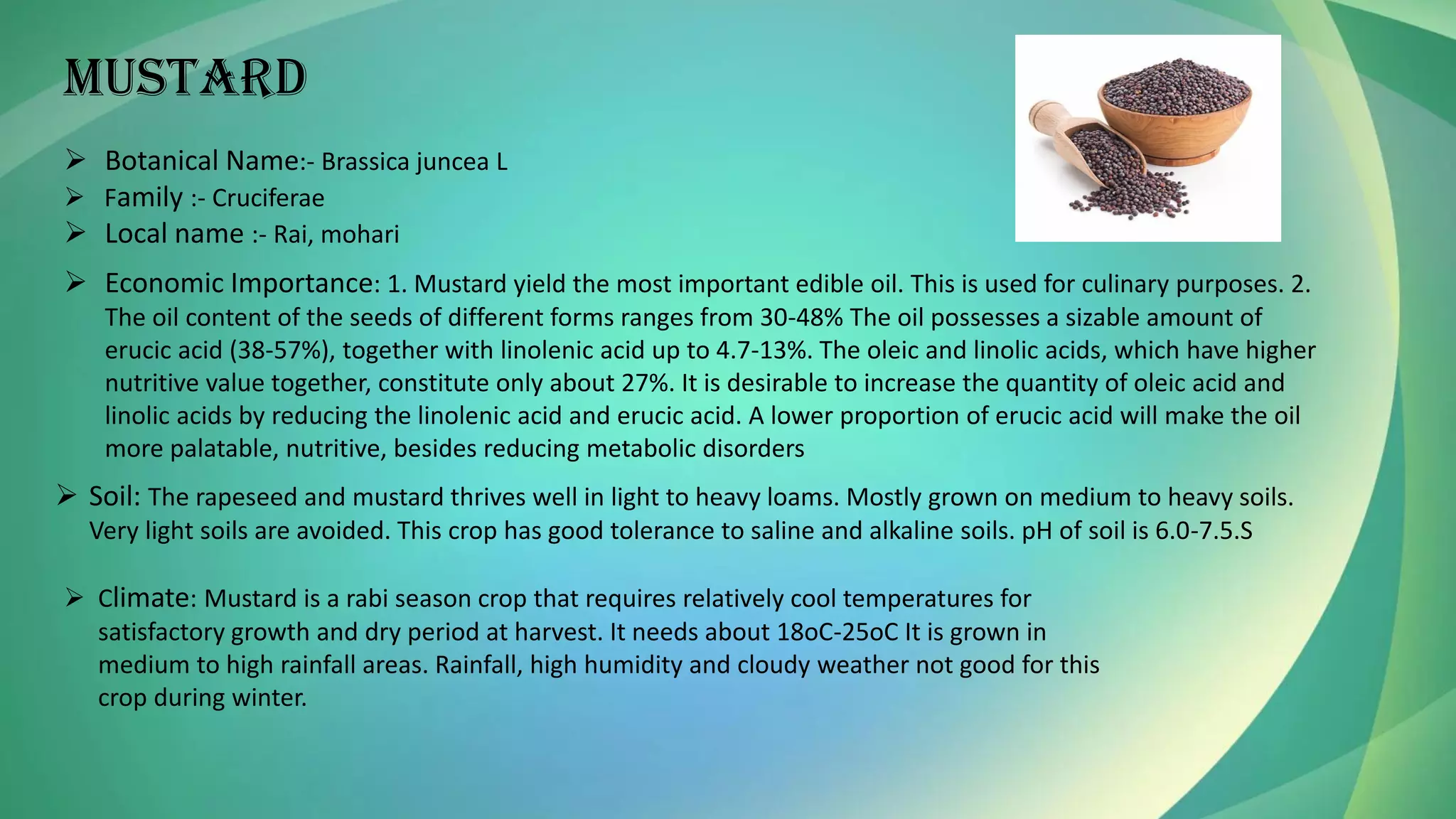 ➢ Botanical Name:- Brassica juncea L
➢ Family :- Cruciferae
➢ Local name :- Rai, mohari
MUSTARD
➢ Economic Importance: 1. Mustard yield the most important edible oil. This is used for culinary purposes. 2.
The oil content of the seeds of different forms ranges from 30-48% The oil possesses a sizable amount of
erucic acid (38-57%), together with linolenic acid up to 4.7-13%. The oleic and linolic acids, which have higher
nutritive value together, constitute only about 27%. It is desirable to increase the quantity of oleic acid and
linolic acids by reducing the linolenic acid and erucic acid. A lower proportion of erucic acid will make the oil
more palatable, nutritive, besides reducing metabolic disorders
➢ Soil: The rapeseed and mustard thrives well in light to heavy loams. Mostly grown on medium to heavy soils.
Very light soils are avoided. This crop has good tolerance to saline and alkaline soils. pH of soil is 6.0-7.5.S
➢ Climate: Mustard is a rabi season crop that requires relatively cool temperatures for
satisfactory growth and dry period at harvest. It needs about 18oC-25oC It is grown in
medium to high rainfall areas. Rainfall, high humidity and cloudy weather not good for this
crop during winter.
 