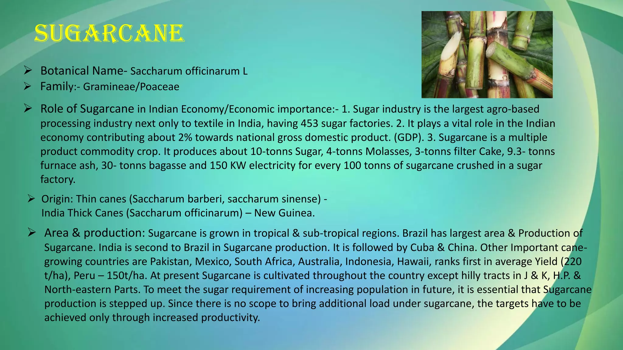 SUGARCANE
➢ Botanical Name- Saccharum officinarum L
➢ Family:- Gramineae/Poaceae
➢ Role of Sugarcane in Indian Economy/Economic importance:- 1. Sugar industry is the largest agro-based
processing industry next only to textile in India, having 453 sugar factories. 2. It plays a vital role in the Indian
economy contributing about 2% towards national gross domestic product. (GDP). 3. Sugarcane is a multiple
product commodity crop. It produces about 10-tonns Sugar, 4-tonns Molasses, 3-tonns filter Cake, 9.3- tonns
furnace ash, 30- tonns bagasse and 150 KW electricity for every 100 tonns of sugarcane crushed in a sugar
factory.
➢ Origin: Thin canes (Saccharum barberi, saccharum sinense) -
India Thick Canes (Saccharum officinarum) – New Guinea.
➢ Area & production: Sugarcane is grown in tropical & sub-tropical regions. Brazil has largest area & Production of
Sugarcane. India is second to Brazil in Sugarcane production. It is followed by Cuba & China. Other Important cane-
growing countries are Pakistan, Mexico, South Africa, Australia, Indonesia, Hawaii, ranks first in average Yield (220
t/ha), Peru – 150t/ha. At present Sugarcane is cultivated throughout the country except hilly tracts in J & K, H.P. &
North-eastern Parts. To meet the sugar requirement of increasing population in future, it is essential that Sugarcane
production is stepped up. Since there is no scope to bring additional load under sugarcane, the targets have to be
achieved only through increased productivity.
 
