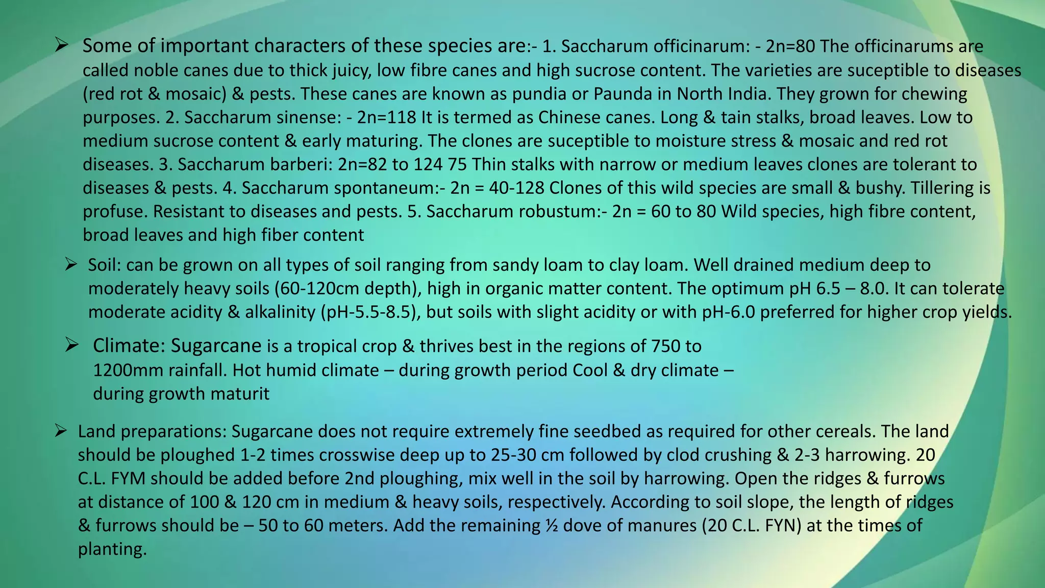 ➢ Some of important characters of these species are:- 1. Saccharum officinarum: - 2n=80 The officinarums are
called noble canes due to thick juicy, low fibre canes and high sucrose content. The varieties are suceptible to diseases
(red rot & mosaic) & pests. These canes are known as pundia or Paunda in North India. They grown for chewing
purposes. 2. Saccharum sinense: - 2n=118 It is termed as Chinese canes. Long & tain stalks, broad leaves. Low to
medium sucrose content & early maturing. The clones are suceptible to moisture stress & mosaic and red rot
diseases. 3. Saccharum barberi: 2n=82 to 124 75 Thin stalks with narrow or medium leaves clones are tolerant to
diseases & pests. 4. Saccharum spontaneum:- 2n = 40-128 Clones of this wild species are small & bushy. Tillering is
profuse. Resistant to diseases and pests. 5. Saccharum robustum:- 2n = 60 to 80 Wild species, high fibre content,
broad leaves and high fiber content
➢ Soil: can be grown on all types of soil ranging from sandy loam to clay loam. Well drained medium deep to
moderately heavy soils (60-120cm depth), high in organic matter content. The optimum pH 6.5 – 8.0. It can tolerate
moderate acidity & alkalinity (pH-5.5-8.5), but soils with slight acidity or with pH-6.0 preferred for higher crop yields.
➢ Climate: Sugarcane is a tropical crop & thrives best in the regions of 750 to
1200mm rainfall. Hot humid climate – during growth period Cool & dry climate –
during growth maturit
➢ Land preparations: Sugarcane does not require extremely fine seedbed as required for other cereals. The land
should be ploughed 1-2 times crosswise deep up to 25-30 cm followed by clod crushing & 2-3 harrowing. 20
C.L. FYM should be added before 2nd ploughing, mix well in the soil by harrowing. Open the ridges & furrows
at distance of 100 & 120 cm in medium & heavy soils, respectively. According to soil slope, the length of ridges
& furrows should be – 50 to 60 meters. Add the remaining ½ dove of manures (20 C.L. FYN) at the times of
planting.
 