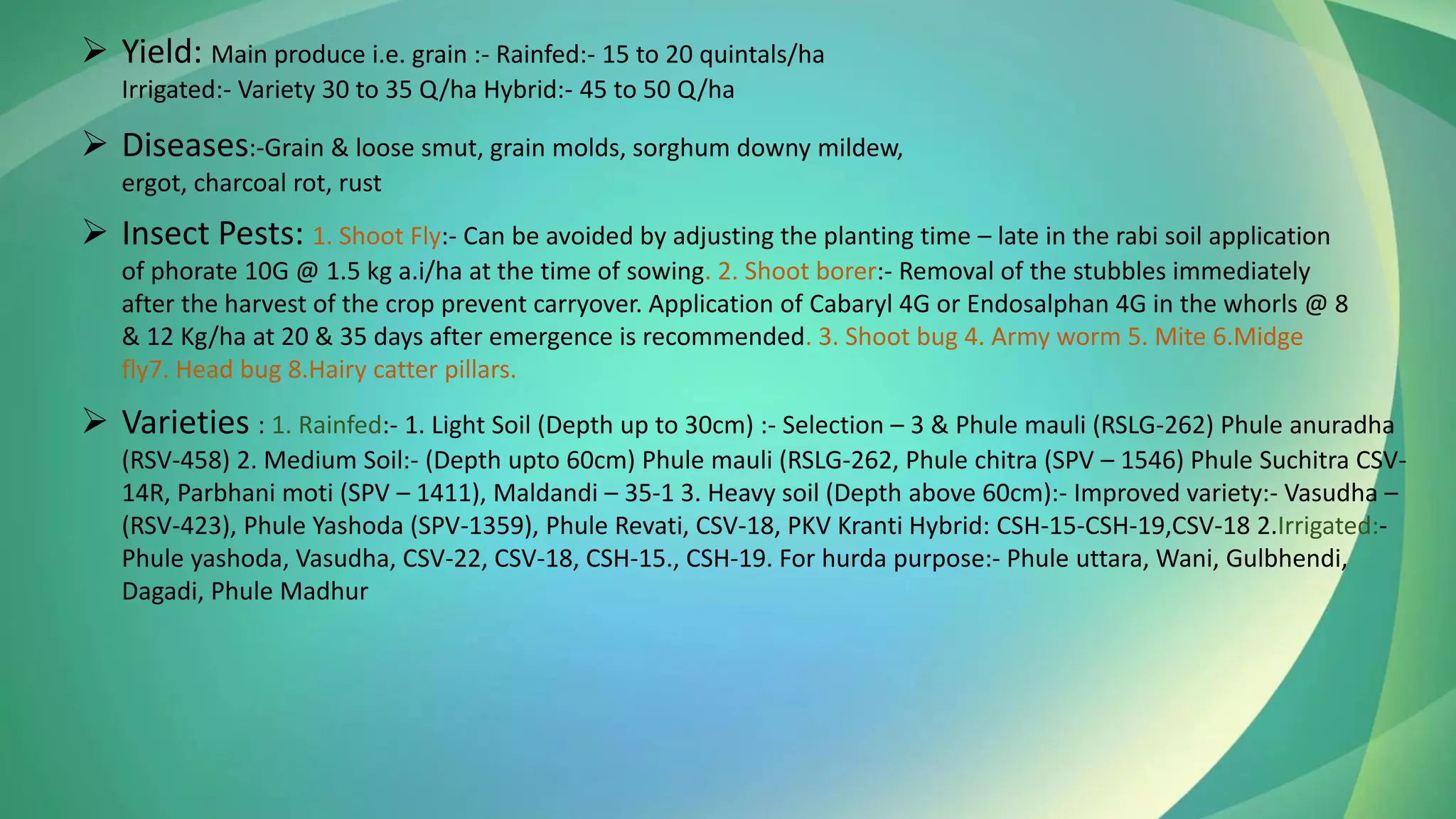 ➢ Yield: Main produce i.e. grain :- Rainfed:- 15 to 20 quintals/ha
Irrigated:- Variety 30 to 35 Q/ha Hybrid:- 45 to 50 Q/ha
➢ Diseases:-Grain & loose smut, grain molds, sorghum downy mildew,
ergot, charcoal rot, rust
➢ Insect Pests: 1. Shoot Fly:- Can be avoided by adjusting the planting time – late in the rabi soil application
of phorate 10G @ 1.5 kg a.i/ha at the time of sowing. 2. Shoot borer:- Removal of the stubbles immediately
after the harvest of the crop prevent carryover. Application of Cabaryl 4G or Endosalphan 4G in the whorls @ 8
& 12 Kg/ha at 20 & 35 days after emergence is recommended. 3. Shoot bug 4. Army worm 5. Mite 6.Midge
fly7. Head bug 8.Hairy catter pillars.
➢ Varieties : 1. Rainfed:- 1. Light Soil (Depth up to 30cm) :- Selection – 3 & Phule mauli (RSLG-262) Phule anuradha
(RSV-458) 2. Medium Soil:- (Depth upto 60cm) Phule mauli (RSLG-262, Phule chitra (SPV – 1546) Phule Suchitra CSV-
14R, Parbhani moti (SPV – 1411), Maldandi – 35-1 3. Heavy soil (Depth above 60cm):- Improved variety:- Vasudha –
(RSV-423), Phule Yashoda (SPV-1359), Phule Revati, CSV-18, PKV Kranti Hybrid: CSH-15-CSH-19,CSV-18 2.Irrigated:-
Phule yashoda, Vasudha, CSV-22, CSV-18, CSH-15., CSH-19. For hurda purpose:- Phule uttara, Wani, Gulbhendi,
Dagadi, Phule Madhur
 