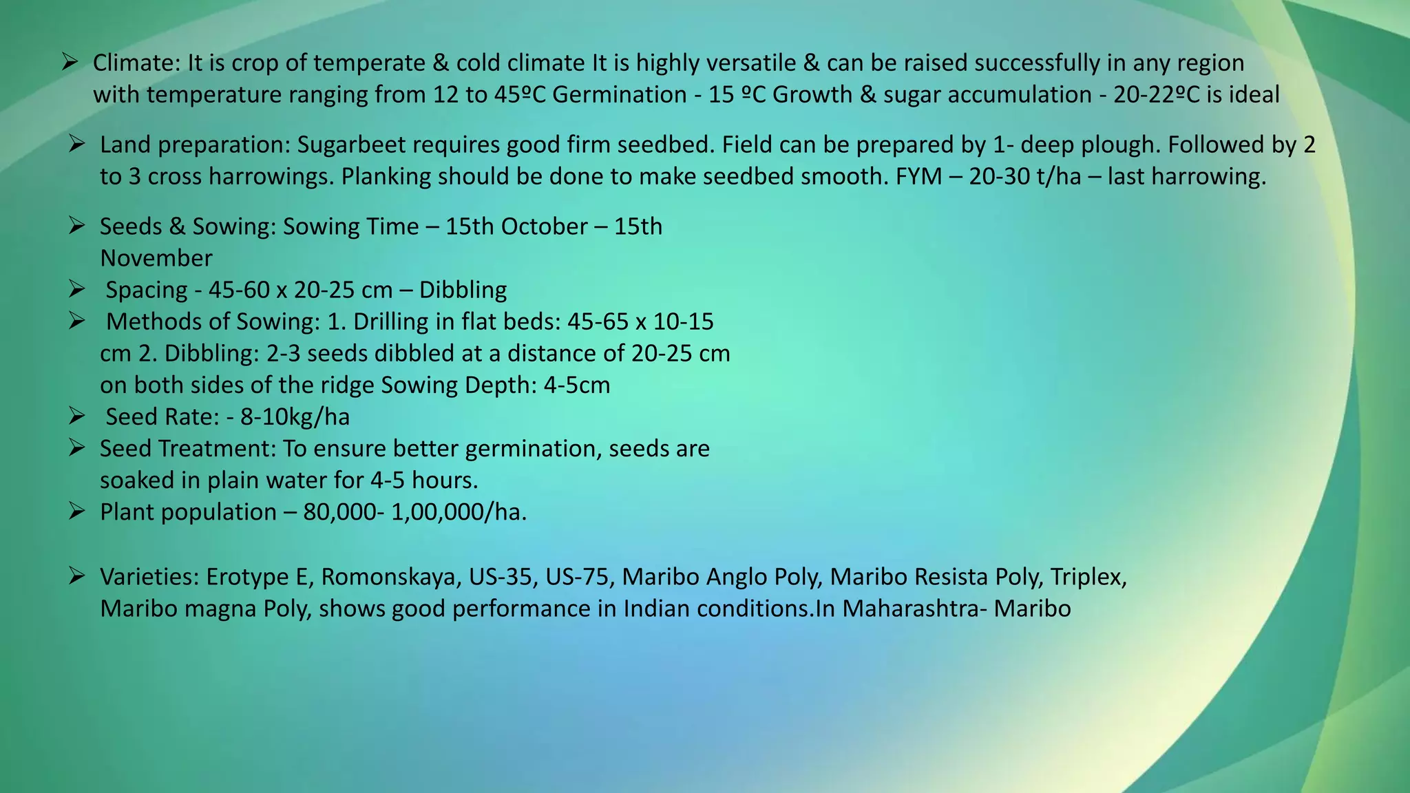 ➢ Climate: It is crop of temperate & cold climate It is highly versatile & can be raised successfully in any region
with temperature ranging from 12 to 45ºC Germination - 15 ºC Growth & sugar accumulation - 20-22ºC is ideal
➢ Land preparation: Sugarbeet requires good firm seedbed. Field can be prepared by 1- deep plough. Followed by 2
to 3 cross harrowings. Planking should be done to make seedbed smooth. FYM – 20-30 t/ha – last harrowing.
➢ Seeds & Sowing: Sowing Time – 15th October – 15th
November
➢ Spacing - 45-60 x 20-25 cm – Dibbling
➢ Methods of Sowing: 1. Drilling in flat beds: 45-65 x 10-15
cm 2. Dibbling: 2-3 seeds dibbled at a distance of 20-25 cm
on both sides of the ridge Sowing Depth: 4-5cm
➢ Seed Rate: - 8-10kg/ha
➢ Seed Treatment: To ensure better germination, seeds are
soaked in plain water for 4-5 hours.
➢ Plant population – 80,000- 1,00,000/ha.
➢ Varieties: Erotype E, Romonskaya, US-35, US-75, Maribo Anglo Poly, Maribo Resista Poly, Triplex,
Maribo magna Poly, shows good performance in Indian conditions.In Maharashtra- Maribo
 