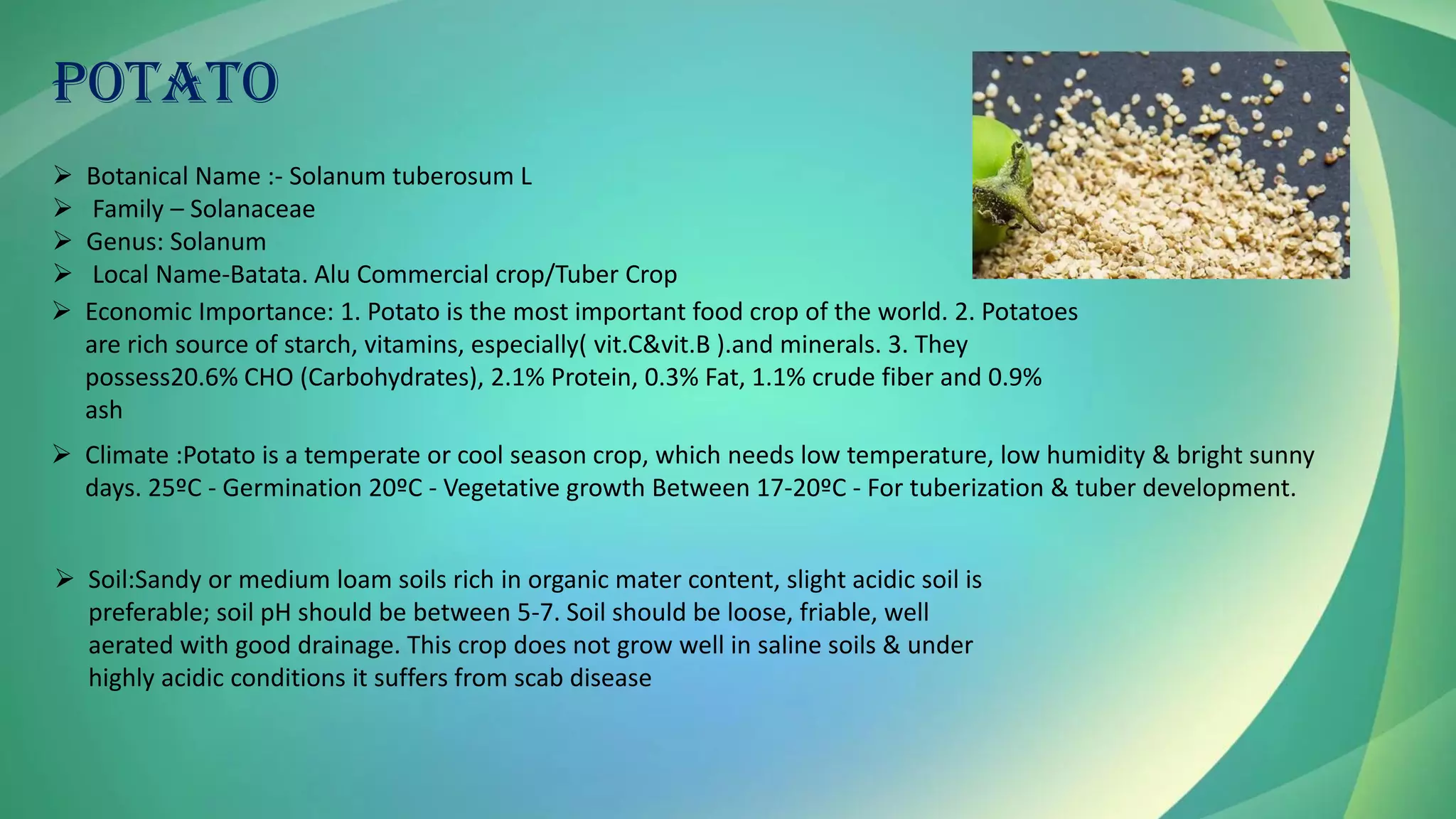 POTATO
➢ Botanical Name :- Solanum tuberosum L
➢ Family – Solanaceae
➢ Genus: Solanum
➢ Local Name-Batata. Alu Commercial crop/Tuber Crop
➢ Economic Importance: 1. Potato is the most important food crop of the world. 2. Potatoes
are rich source of starch, vitamins, especially( vit.C&vit.B ).and minerals. 3. They
possess20.6% CHO (Carbohydrates), 2.1% Protein, 0.3% Fat, 1.1% crude fiber and 0.9%
ash
➢ Soil:Sandy or medium loam soils rich in organic mater content, slight acidic soil is
preferable; soil pH should be between 5-7. Soil should be loose, friable, well
aerated with good drainage. This crop does not grow well in saline soils & under
highly acidic conditions it suffers from scab disease
➢ Climate :Potato is a temperate or cool season crop, which needs low temperature, low humidity & bright sunny
days. 25ºC - Germination 20ºC - Vegetative growth Between 17-20ºC - For tuberization & tuber development.
 