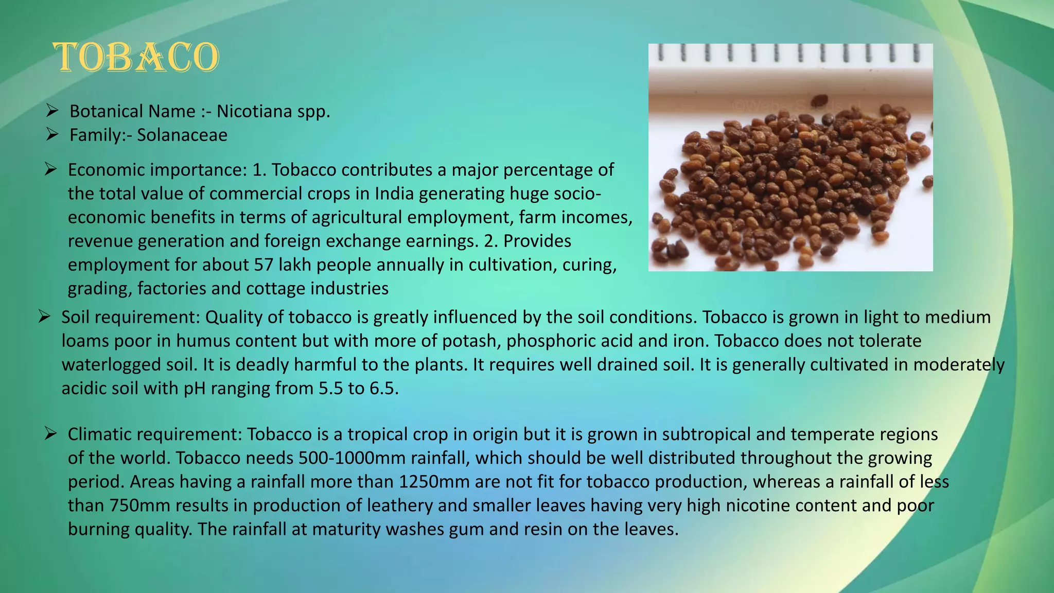TOBACO
➢ Botanical Name :- Nicotiana spp.
➢ Family:- Solanaceae
➢ Economic importance: 1. Tobacco contributes a major percentage of
the total value of commercial crops in India generating huge socio-
economic benefits in terms of agricultural employment, farm incomes,
revenue generation and foreign exchange earnings. 2. Provides
employment for about 57 lakh people annually in cultivation, curing,
grading, factories and cottage industries
➢ Soil requirement: Quality of tobacco is greatly influenced by the soil conditions. Tobacco is grown in light to medium
loams poor in humus content but with more of potash, phosphoric acid and iron. Tobacco does not tolerate
waterlogged soil. It is deadly harmful to the plants. It requires well drained soil. It is generally cultivated in moderately
acidic soil with pH ranging from 5.5 to 6.5.
➢ Climatic requirement: Tobacco is a tropical crop in origin but it is grown in subtropical and temperate regions
of the world. Tobacco needs 500-1000mm rainfall, which should be well distributed throughout the growing
period. Areas having a rainfall more than 1250mm are not fit for tobacco production, whereas a rainfall of less
than 750mm results in production of leathery and smaller leaves having very high nicotine content and poor
burning quality. The rainfall at maturity washes gum and resin on the leaves.
 