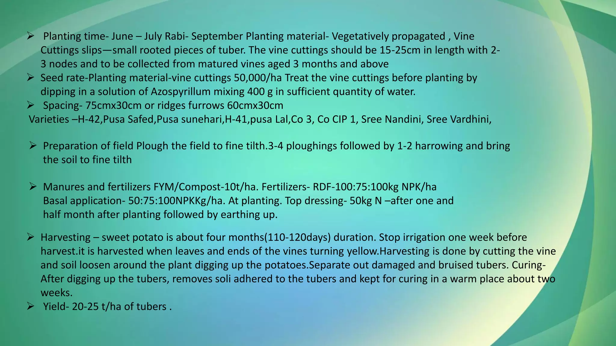 ➢ Planting time- June – July Rabi- September Planting material- Vegetatively propagated , Vine
Cuttings slips—small rooted pieces of tuber. The vine cuttings should be 15-25cm in length with 2-
3 nodes and to be collected from matured vines aged 3 months and above
➢ Seed rate-Planting material-vine cuttings 50,000/ha Treat the vine cuttings before planting by
dipping in a solution of Azospyrillum mixing 400 g in sufficient quantity of water.
➢ Spacing- 75cmx30cm or ridges furrows 60cmx30cm
Varieties –H-42,Pusa Safed,Pusa sunehari,H-41,pusa Lal,Co 3, Co CIP 1, Sree Nandini, Sree Vardhini,
➢ Preparation of field Plough the field to fine tilth.3-4 ploughings followed by 1-2 harrowing and bring
the soil to fine tilth
➢ Manures and fertilizers FYM/Compost-10t/ha. Fertilizers- RDF-100:75:100kg NPK/ha
Basal application- 50:75:100NPKKg/ha. At planting. Top dressing- 50kg N –after one and
half month after planting followed by earthing up.
➢ Harvesting – sweet potato is about four months(110-120days) duration. Stop irrigation one week before
harvest.it is harvested when leaves and ends of the vines turning yellow.Harvesting is done by cutting the vine
and soil loosen around the plant digging up the potatoes.Separate out damaged and bruised tubers. Curing-
After digging up the tubers, removes soli adhered to the tubers and kept for curing in a warm place about two
weeks.
➢ Yield- 20-25 t/ha of tubers .
 