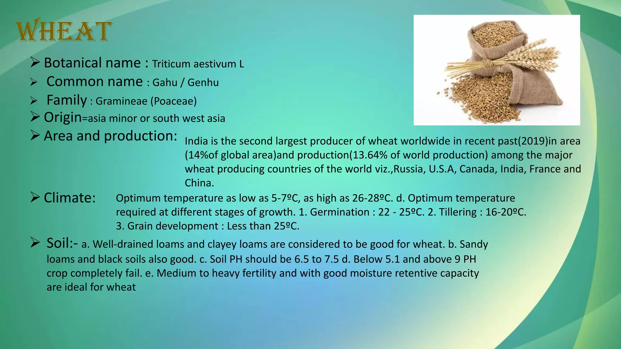 WHEAT
➢Botanical name : Triticum aestivum L
➢ Common name : Gahu / Genhu
➢ Family : Gramineae (Poaceae)
➢Origin=asia minor or south west asia
➢Area and production: India is the second largest producer of wheat worldwide in recent past(2019)in area
(14%of global area)and production(13.64% of world production) among the major
wheat producing countries of the world viz.,Russia, U.S.A, Canada, India, France and
China.
➢Climate: Optimum temperature as low as 5-7ºC, as high as 26-28ºC. d. Optimum temperature
required at different stages of growth. 1. Germination : 22 - 25ºC. 2. Tillering : 16-20ºC.
3. Grain development : Less than 25ºC.
➢ Soil:- a. Well-drained loams and clayey loams are considered to be good for wheat. b. Sandy
loams and black soils also good. c. Soil PH should be 6.5 to 7.5 d. Below 5.1 and above 9 PH
crop completely fail. e. Medium to heavy fertility and with good moisture retentive capacity
are ideal for wheat
 