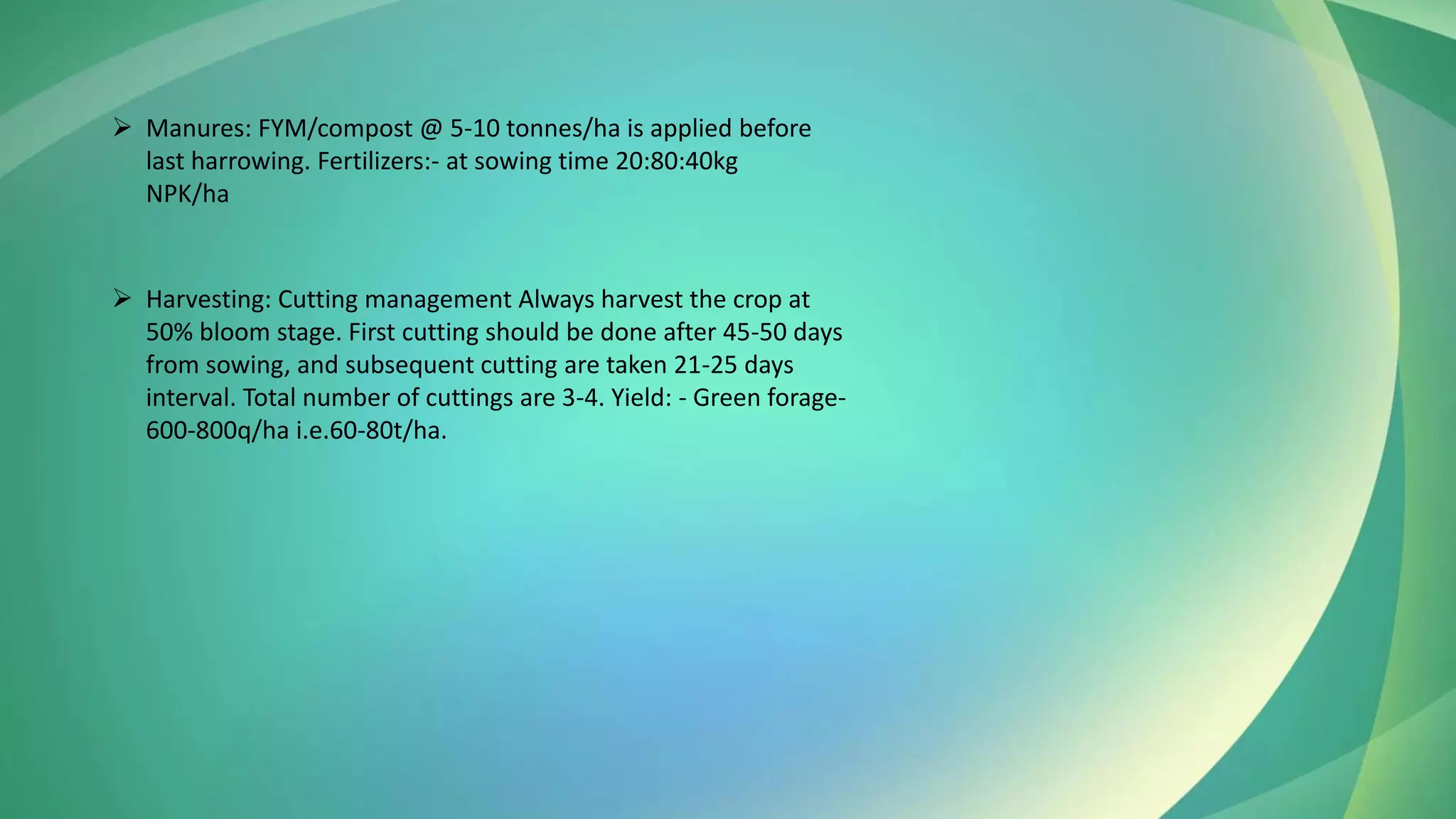 ➢ Manures: FYM/compost @ 5-10 tonnes/ha is applied before
last harrowing. Fertilizers:- at sowing time 20:80:40kg
NPK/ha
➢ Harvesting: Cutting management Always harvest the crop at
50% bloom stage. First cutting should be done after 45-50 days
from sowing, and subsequent cutting are taken 21-25 days
interval. Total number of cuttings are 3-4. Yield: - Green forage-
600-800q/ha i.e.60-80t/ha.
 