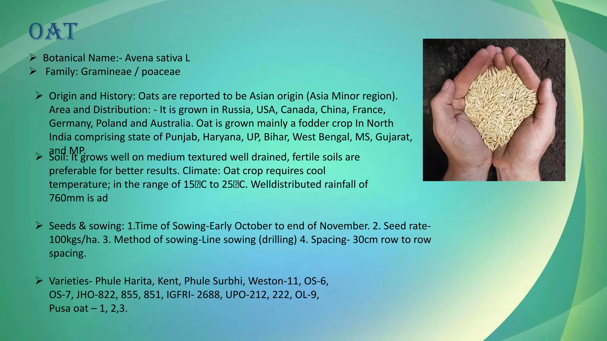 OAT
➢ Botanical Name:- Avena sativa L
➢ Family: Gramineae / poaceae
➢ Origin and History: Oats are reported to be Asian origin (Asia Minor region).
Area and Distribution: - It is grown in Russia, USA, Canada, China, France,
Germany, Poland and Australia. Oat is grown mainly a fodder crop In North
India comprising state of Punjab, Haryana, UP, Bihar, West Bengal, MS, Gujarat,
and MP.
➢ Soil: It grows well on medium textured well drained, fertile soils are
preferable for better results. Climate: Oat crop requires cool
temperature; in the range of 15 C to 25 C. Welldistributed rainfall of
760mm is ad
➢ Seeds & sowing: 1.Time of Sowing-Early October to end of November. 2. Seed rate-
100kgs/ha. 3. Method of sowing-Line sowing (drilling) 4. Spacing- 30cm row to row
spacing.
➢ Varieties- Phule Harita, Kent, Phule Surbhi, Weston-11, OS-6,
OS-7, JHO-822, 855, 851, IGFRI- 2688, UPO-212, 222, OL-9,
Pusa oat – 1, 2,3.
 