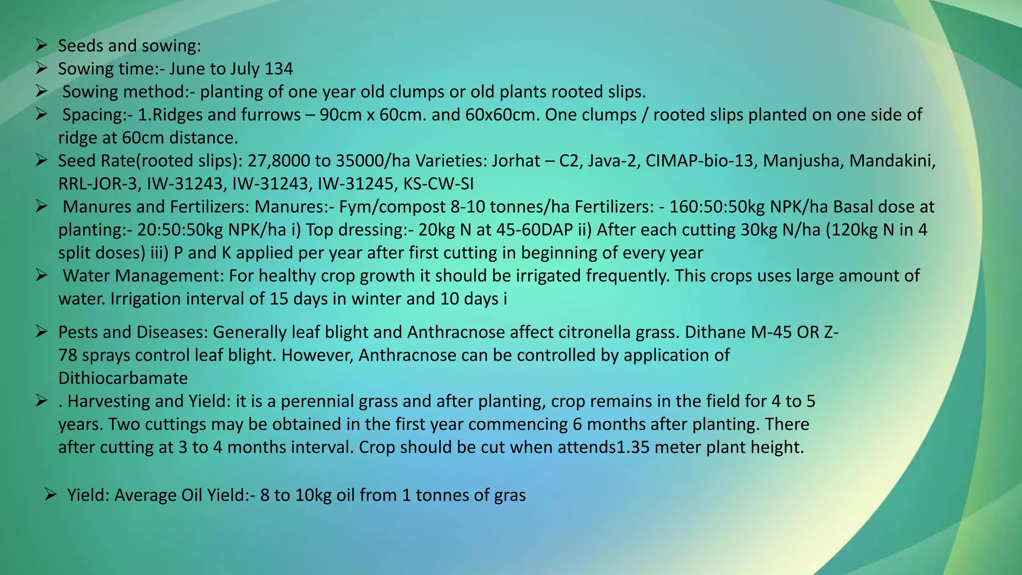 ➢ Seeds and sowing:
➢ Sowing time:- June to July 134
➢ Sowing method:- planting of one year old clumps or old plants rooted slips.
➢ Spacing:- 1.Ridges and furrows – 90cm x 60cm. and 60x60cm. One clumps / rooted slips planted on one side of
ridge at 60cm distance.
➢ Seed Rate(rooted slips): 27,8000 to 35000/ha Varieties: Jorhat – C2, Java-2, CIMAP-bio-13, Manjusha, Mandakini,
RRL-JOR-3, IW-31243, IW-31243, IW-31245, KS-CW-SI
➢ Manures and Fertilizers: Manures:- Fym/compost 8-10 tonnes/ha Fertilizers: - 160:50:50kg NPK/ha Basal dose at
planting:- 20:50:50kg NPK/ha i) Top dressing:- 20kg N at 45-60DAP ii) After each cutting 30kg N/ha (120kg N in 4
split doses) iii) P and K applied per year after first cutting in beginning of every year
➢ Water Management: For healthy crop growth it should be irrigated frequently. This crops uses large amount of
water. Irrigation interval of 15 days in winter and 10 days i
➢ Pests and Diseases: Generally leaf blight and Anthracnose affect citronella grass. Dithane M-45 OR Z-
78 sprays control leaf blight. However, Anthracnose can be controlled by application of
Dithiocarbamate
➢ . Harvesting and Yield: it is a perennial grass and after planting, crop remains in the field for 4 to 5
years. Two cuttings may be obtained in the first year commencing 6 months after planting. There
after cutting at 3 to 4 months interval. Crop should be cut when attends1.35 meter plant height.
➢ Yield: Average Oil Yield:- 8 to 10kg oil from 1 tonnes of gras
 
