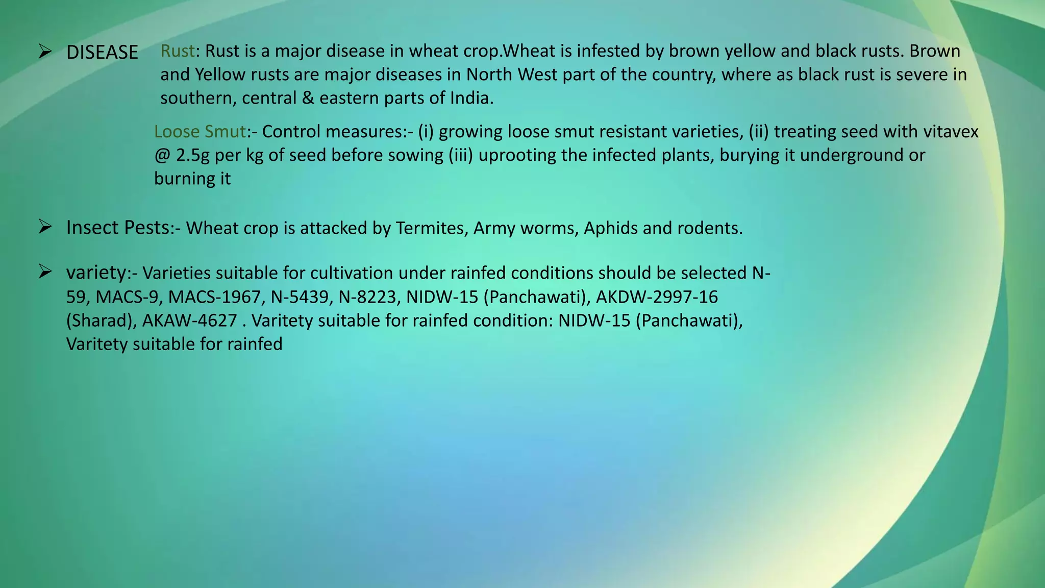 Rust: Rust is a major disease in wheat crop.Wheat is infested by brown yellow and black rusts. Brown
and Yellow rusts are major diseases in North West part of the country, where as black rust is severe in
southern, central & eastern parts of India.
Loose Smut:- Control measures:- (i) growing loose smut resistant varieties, (ii) treating seed with vitavex
@ 2.5g per kg of seed before sowing (iii) uprooting the infected plants, burying it underground or
burning it
➢ DISEASE
➢ Insect Pests:- Wheat crop is attacked by Termites, Army worms, Aphids and rodents.
➢ variety:- Varieties suitable for cultivation under rainfed conditions should be selected N-
59, MACS-9, MACS-1967, N-5439, N-8223, NIDW-15 (Panchawati), AKDW-2997-16
(Sharad), AKAW-4627 . Varitety suitable for rainfed condition: NIDW-15 (Panchawati),
Varitety suitable for rainfed
 