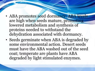 • ABA promotes seed dormancy. ABA levels
are high when seeds mature, promoting
lowered metabolism and synthesis of
proteins needed to withstand the
dehydration associated with dormancy.
• Seeds germinate when ABA is degraded by
some environmental action. Desert seeds
must have the ABA washed out of the seed
coat; temperate are plants have ABA
degraded by light stimulated enzymes.
 