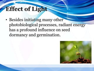Effect of Light
• Besides initiating many other
photobiological processes, radiant energy
has a profound influence on seed
dormancy and germination.
 