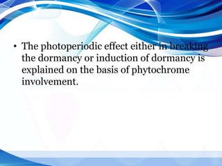 • The photoperiodic effect either in breaking
the dormancy or induction of dormancy is
explained on the basis of phytochrome
involvement.
 