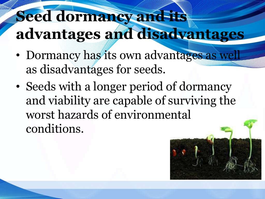 Seed and bud dormancy