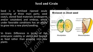 Seed and Grain
Seed is a fertilized ripened ovule
consisting of three main parts; seed
coat/s, stored food materials (endosperm
and/or cotyledon) and embryo, which
under favorable conditions has an ability
to grow into a new plant/seedling.
Vs Grain: Difference in terms of the
embryonic viability or ability and favored
as food rather than growing into new
plants
R
o
s
h
a
n
S
u
b
e
d
i
a
m
j
u
n
g
C
a
m
p
u
s
 