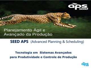 SEED APS (Advanced Planning & Scheduling)
Tecnologia em Sistemas Avançados
para Produtividade e Controle de Produção

 