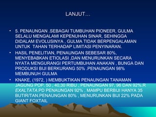 LANJUT…LANJUT…
• 5. PENAUNGAN .SEBAGAI TUMBUHAN PIONEER, GULMA
SELALU MENGALAMI KEPENUHAN SINAR, SEHINGGA
DIDALAM EVOLUSINYA , GULMA TIDAK BERPENGALAMAN
UNTUK TAHAN TERHADAP LIMITASI PENYINARAN.
• HASIL PENELITIAN, PENAUNGAN SEBESAR 80%,
MENYEBABKAN ETIOLASI ,DAN MENURUNKAN SECARA
NYATA MENGURANGI PERTUMBUHAN ANAKAN , BUNGA DAN
PRODUKSI BIJI BERKURANG 50% .PENAUNGAN 98%
MEMBUNUH GULMA
• KNAKE, (1972, ) MEMBUKTIKAN PENAUNGAN TANAMAN
JAGUNG POP. 50 , 40,30 RIBU , PENAUNGAN 97, 96 DAN 92%.R
EXALTATA.PD PENAUNGAN 92% , MAMPU BERBIJI HANYA 35
BUTIR/TAN.PENAUNGAN 80% , MENURUNKAN BIJI 22% PADA
GIANT FOXTAIL
 