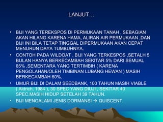 LANJUT…LANJUT…
• BIJI YANG TEREKSPOS DI PERMUKAAN TANAH , SEBAGIAN
AKAN HILANG KARENA HAMA, ALIRAN AIR PERMUKAAN ,DAN
BIJI INI BILA TETAP TINGGAL DIPERMUKAAN AKAN CEPAT
MENURUN DAYA TUMBUHNYA.
• CONTOH PADA WILDOAT , BIJI YANG TERKESPOS ,SETALH 5
BULAN HANYA BERKECAMBAH SEKITAR 5% DARI SEMUAL
65% ,SEMENTARA YANG TERTIMBIH ( KARENA
PENGOLAHAN/OLEH TIMBINAN LUBANG HEWAN ) MASIH
BERKECAMBAH 60%.
• UMUR BIJI DI DALAM SEEDBANK, 100 TAHUN MASIH VIABLE
( Aldrich, 1984 ), 30 SPEC YANG DIUJI , SEKITAR 40
SPEC.MASIH HIDUP SETELAH 39 TAHUN.
• BIJI MENGALAMI JENIS DORMANSI  QUISCENT.
 