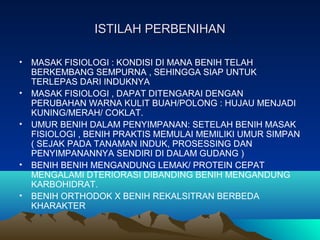 ISTILAH PERBENIHANISTILAH PERBENIHAN
• MASAK FISIOLOGI : KONDISI DI MANA BENIH TELAH
BERKEMBANG SEMPURNA , SEHINGGA SIAP UNTUK
TERLEPAS DARI INDUKNYA
• MASAK FISIOLOGI , DAPAT DITENGARAI DENGAN
PERUBAHAN WARNA KULIT BUAH/POLONG : HUJAU MENJADI
KUNING/MERAH/ COKLAT.
• UMUR BENIH DALAM PENYIMPANAN: SETELAH BENIH MASAK
FISIOLOGI , BENIH PRAKTIS MEMULAI MEMILIKI UMUR SIMPAN
( SEJAK PADA TANAMAN INDUK, PROSESSING DAN
PENYIMPANANNYA SENDIRI DI DALAM GUDANG )
• BENIH BENIH MENGANDUNG LEMAK/ PROTEIN CEPAT
MENGALAMI DTERIORASI DIBANDING BENIH MENGANDUNG
KARBOHIDRAT.
• BENIH ORTHODOK X BENIH REKALSITRAN BERBEDA
KHARAKTER
 