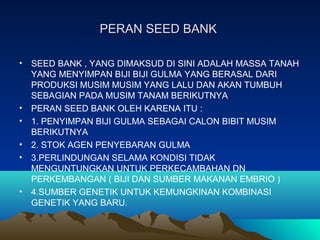 PERAN SEED BANKPERAN SEED BANK
• SEED BANK , YANG DIMAKSUD DI SINI ADALAH MASSA TANAH
YANG MENYIMPAN BIJI BIJI GULMA YANG BERASAL DARI
PRODUKSI MUSIM MUSIM YANG LALU DAN AKAN TUMBUH
SEBAGIAN PADA MUSIM TANAM BERIKUTNYA
• PERAN SEED BANK OLEH KARENA ITU :
• 1. PENYIMPAN BIJI GULMA SEBAGAI CALON BIBIT MUSIM
BERIKUTNYA
• 2. STOK AGEN PENYEBARAN GULMA
• 3.PERLINDUNGAN SELAMA KONDISI TIDAK
MENGUNTUNGKAN UNTUK PERKECAMBAHAN DN
PERKEMBANGAN ( BIJI DAN SUMBER MAKANAN EMBRIO )
• 4.SUMBER GENETIK UNTUK KEMUNGKINAN KOMBINASI
GENETIK YANG BARU.
 